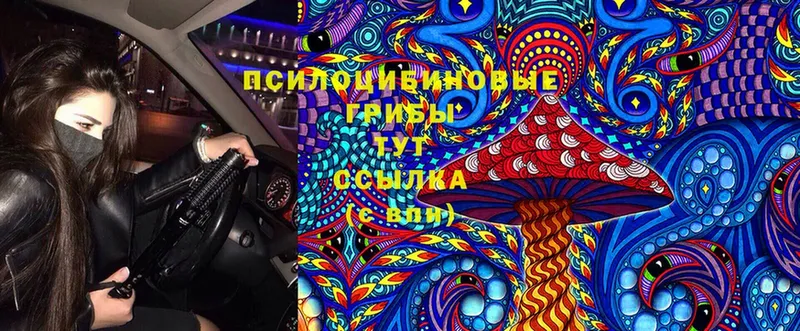 Галлюциногенные грибы Cubensis Рассказово